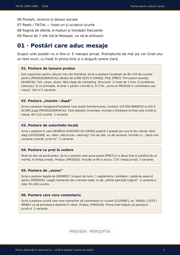 Texte care vând — Categorii și primul prompt, PDF pagina 5